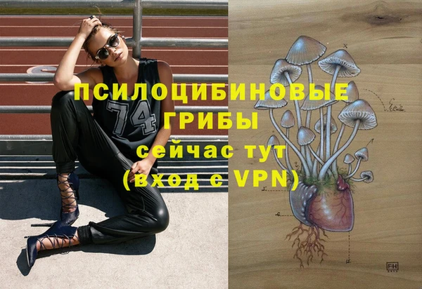 дмт Михайлов
