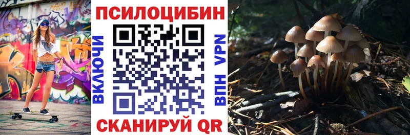 Псилоцибиновые грибы прущие грибы  купить наркоту  Муром 